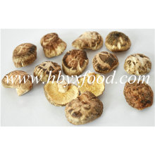 2.5-3cm Dried Deform K Shiitake Mushroom